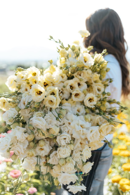 Chateau Monette Flower Farm photo
